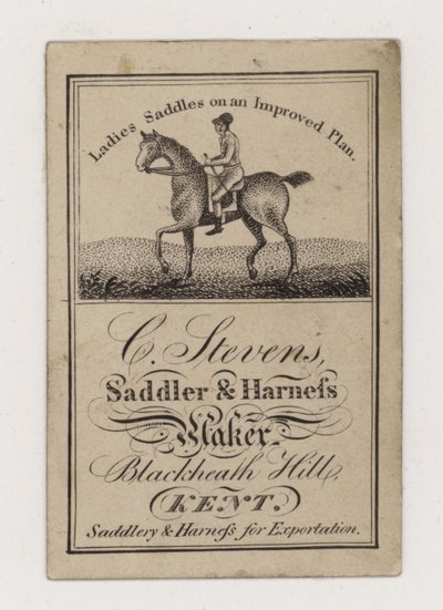 Saddler and Harness Maker, C Stevens, kauppakortti tekijältä English Photographer