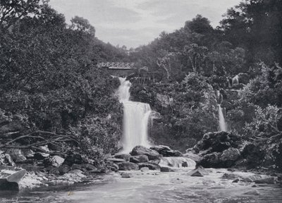 Skotlanti: Inversnaid Falls, Loch Lomond (m/w kuva) tekijältä English Photographer