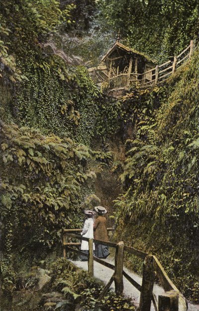 Shanklin Chine tekijältä English Photographer