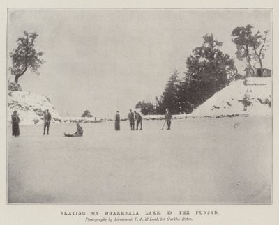 Luistelu Dharmsala-järvellä, Punjaubissa tekijältä English Photographer