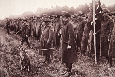 Anzac-arvostelu Salisbury Plainilla: australialainen maskotti, kuvitus The Illustrated War Newsista, 27. syyskuuta 1916 (seepiakuva) tekijältä English Photographer