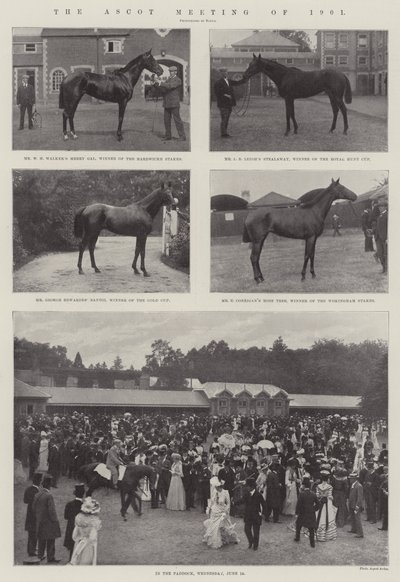 Ascotin kokous 1901 tekijältä English Photographer