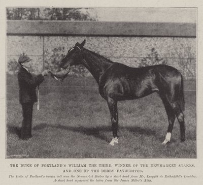 Portlandsin herttua William Kolmas, Newmarket Stakes -voittaja ja yksi Derbyn suosikeista tekijältä English Photographer