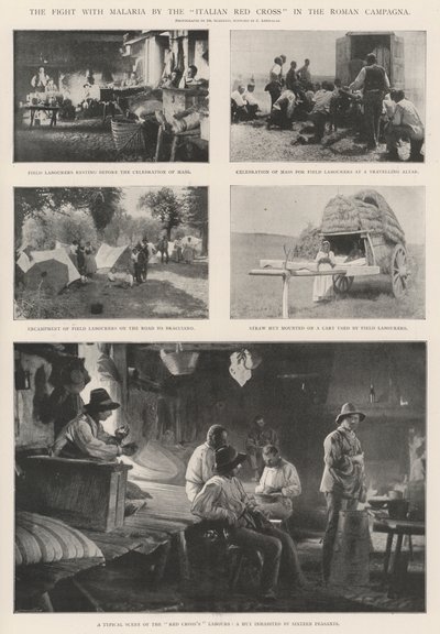 Italian Punaisen Ristin taistelu malariaa vastaan Rooman Campagnassa tekijältä English Photographer