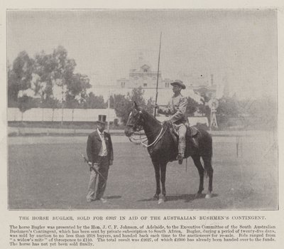 Horse Bugler, myyty 2627 puntaa Adelaidessa sijaitsevassa Australian Bushmens Contingentin avustamassa. Kuvitus The Illustrated London Newsille, 26. toukokuuta 1900 tekijältä English Photographer