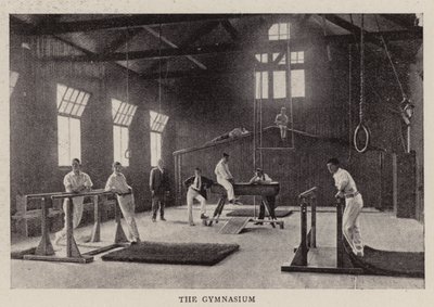 Kings College Schoolin uudet rakennukset Wimbledon Commonissa, Gymnasium tekijältä English Photographer