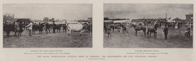 Royal Agricultural Society Show Carlislessa, kuudennenkymmenennenneljäs ja viimeinen maakunnan kokous tekijältä English Photographer