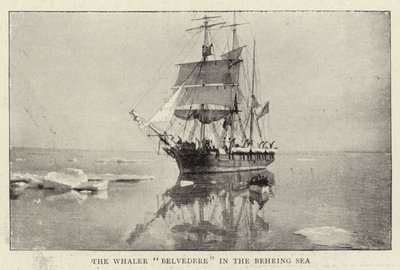 Whaler Belvedere Beringinmerellä tekijältä English Photographer