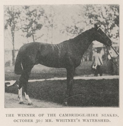 The Winner of the Cambridgeshire Stakes, 30. lokakuuta, herra Whitneys Watershed tekijältä English Photographer