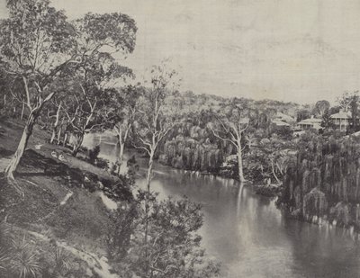 Yarra Studley Parkissa tekijältä English Photographer
