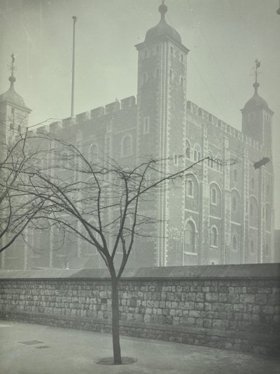 Tower of London, Tower Hill: White Tower, 1899 tekijältä English Photographer