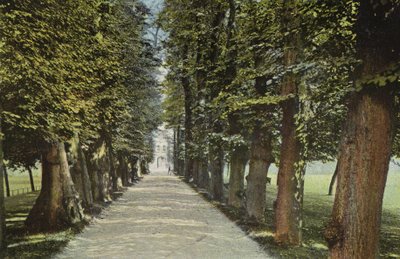 Trinity College, Avenue tekijältä English Photographer