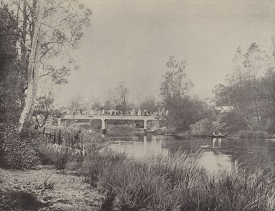 Undercliffe Bridge, Cooks River tekijältä English Photographer
