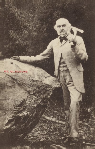 William Ewart Gladstone tekijältä English Photographer
