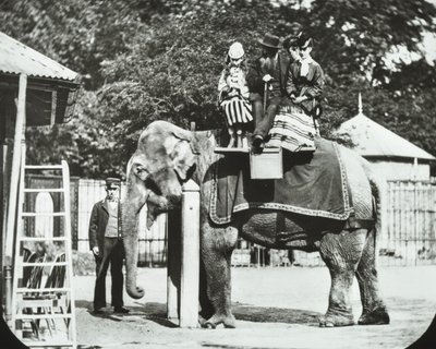 Zoological Gardens, Regents Park: norsu aikuisten ja lasten ratsastuksessa, Lontoon eläintarha, 1894 tekijältä English Photographer