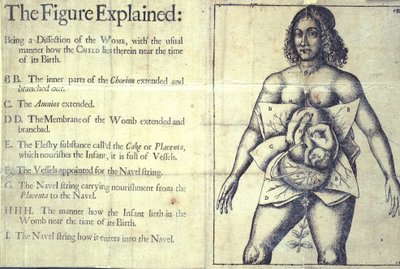 1177 s.19 "The Figure Explained", kaavio kohdusta, Jane Sharpin Lontoosta "Kätilöt Book or The Whole Art of Midwifery Discovered" tekijältä English School