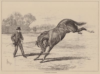 Holtiton nuori (kaiverrus) tekijältä English School