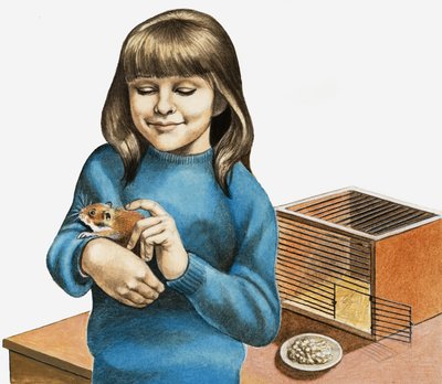 Tyttö ja hänen hamsterinsa tekijältä English School