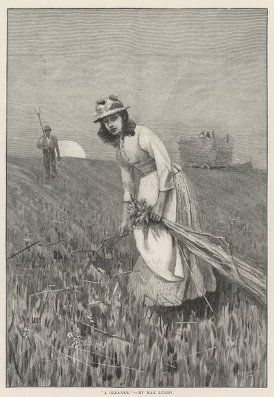 Gleaner (kaiverrus) tekijältä English School