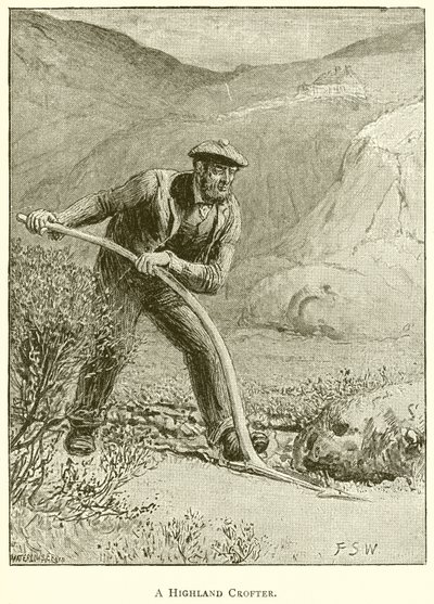 Highland Crofter tekijältä English School