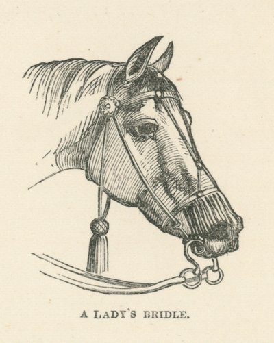 Naisen satula (kaiverrus) (kaiverrus) tekijältä English School