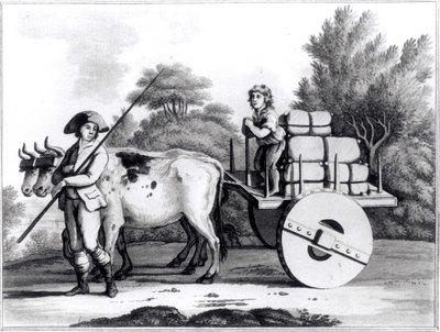 Portugalilainen maatila, James Murphyn teoksesta Yleiskuva Portugalin osavaltiosta, julkaistu 1797 tekijältä English School
