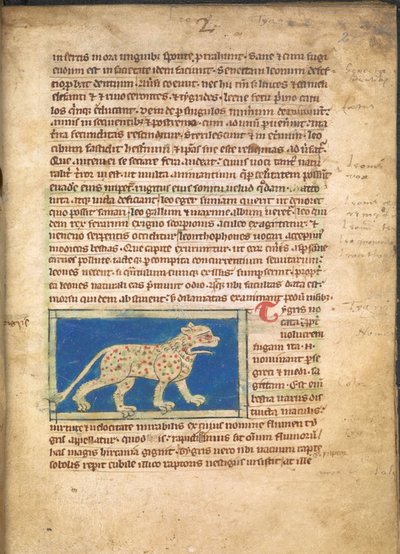 Tiikeri, Sloane 3544, f.2 (pergamentti). tekijältä English School