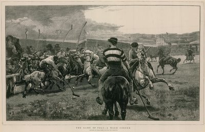 Polo-peli: Lämmin kulma tekijältä English School