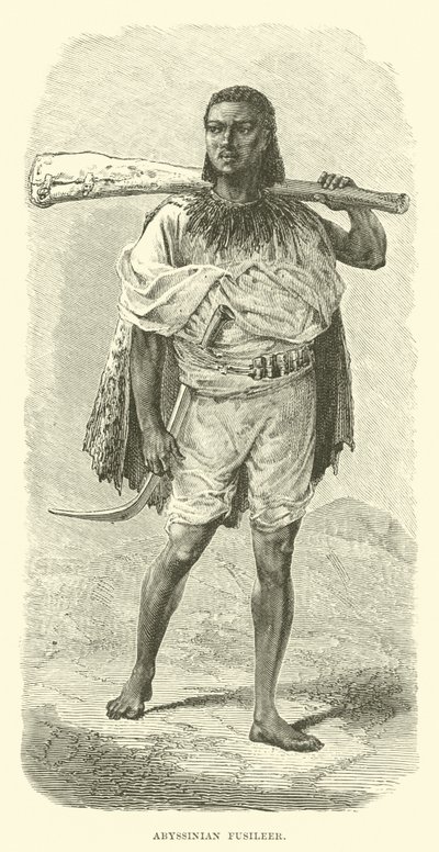 Abessinian fusileer tekijältä English School