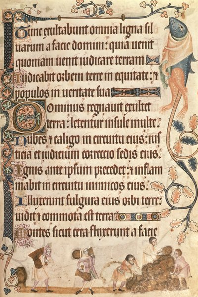 Lisää 42130 f.173 Maissipyyhkeiden pinoaminen Luttrell Psalterista, aloitettu ennen vuotta 1340 Sir Geoffrey Luttrellille (1276-1345) (vellum) tekijältä English School