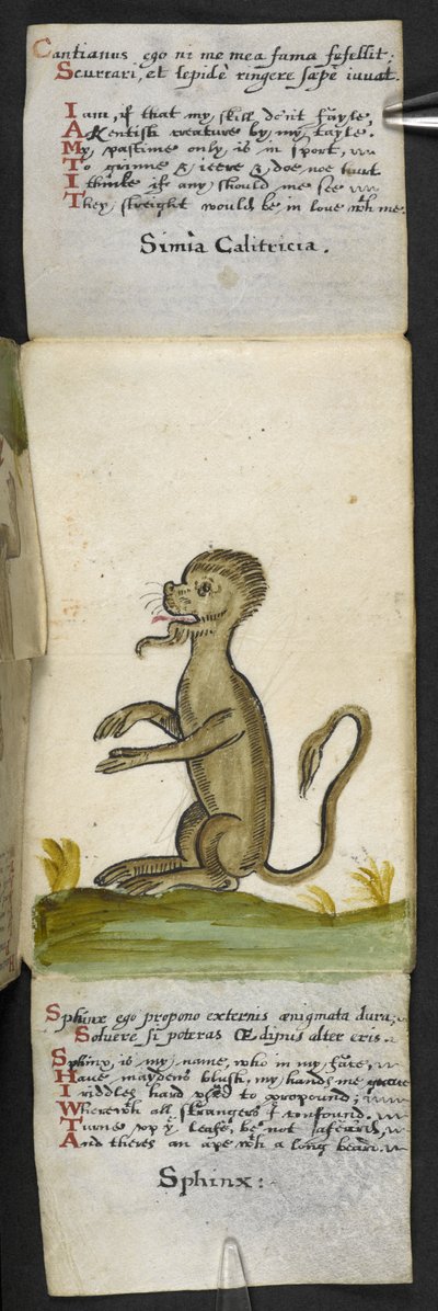 Lisää MS 57312 f.14 -pelikirja (muste ja väri velumissa) tekijältä English School
