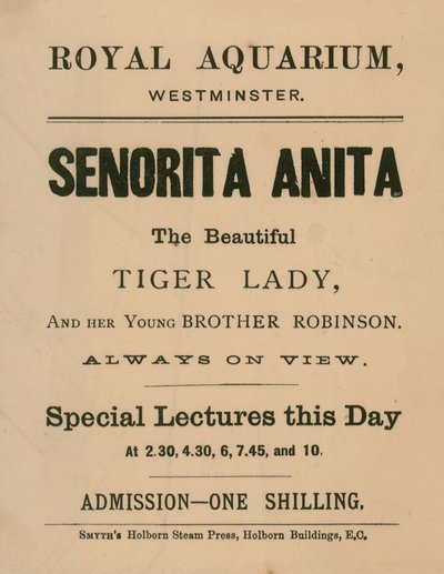Senorita Anitan mainos tekijältä English School