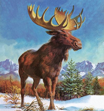 Alaskan mahtava hirvi tekijältä English School