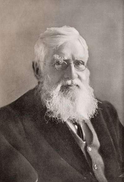 Alfred Russel Wallace, kirjasta 