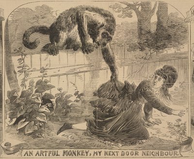 "An Artful Monkey, My Next Door Neighbour", kuvitus "Illustrated Police Newsista", 24. elokuuta 1872 (litho) tekijältä English School