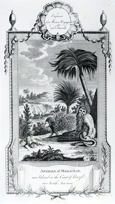 Animals of Maragnan, kuva otettu Moores Voyages and Travels -julkaisusta, 1778 tekijältä English School