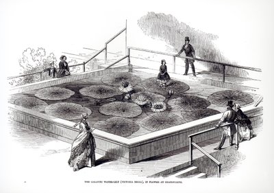 Annie Paxton Victoria regia -lummella Chatsworthin suuressa konservatoriossa, 1849 tekijältä English School