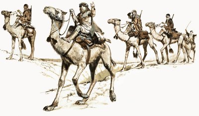 Arabit ylittävät aavikon kameleilla tekijältä English School
