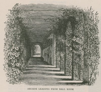 Arcade johtaa Ball Room, Holland House tekijältä English School