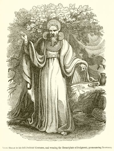 Arch Druid täydessä tuomariasussaan ja tuomion rintakilvessä, lausumassa tuomiota tekijältä English School