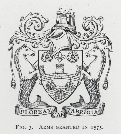 Vuonna 1575 myönnetyt aseet (kaiverrus) tekijältä English School