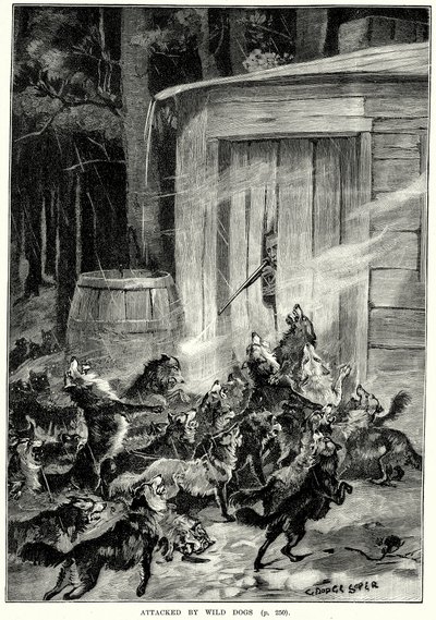 Villien koirien hyökkäys (kaiverrus) tekijältä English School