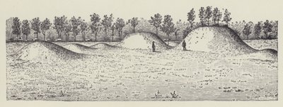 Avondale Mounds, Washingtonin piirikunta, Mississippi (litografia) tekijältä English School