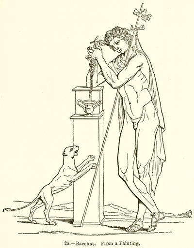Bacchus tekijältä English School