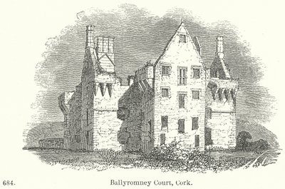 Ballyromney Court, Cork (kaiverrus) tekijältä English School