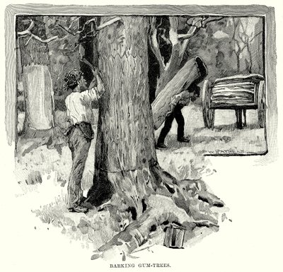 Barking Gum-Trees (kaiverrus) tekijältä English School