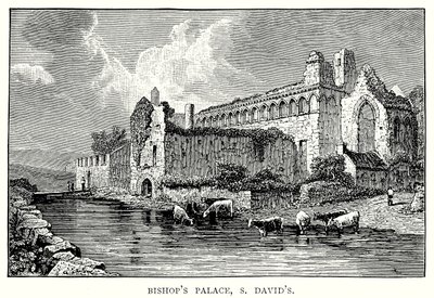 Piispan palatsi, S David