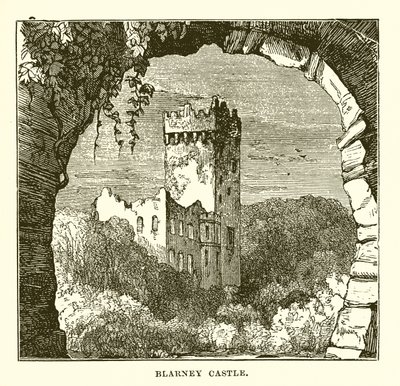 Blarneyn linna tekijältä English School