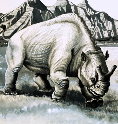 Brontotherium oligoseenikaudelta tekijältä English School