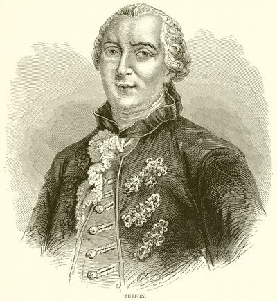 Buffon tekijältä English School